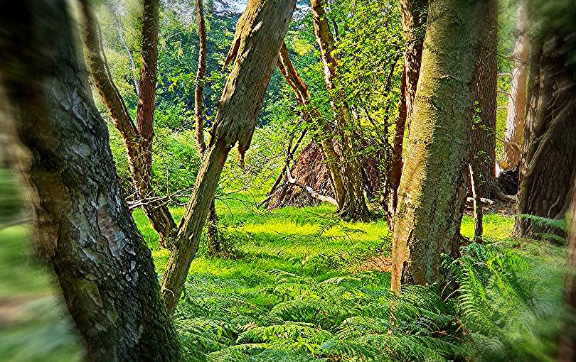 The Best Tool For Spiritual Development (Life) Is An Open&nbsp;Mind