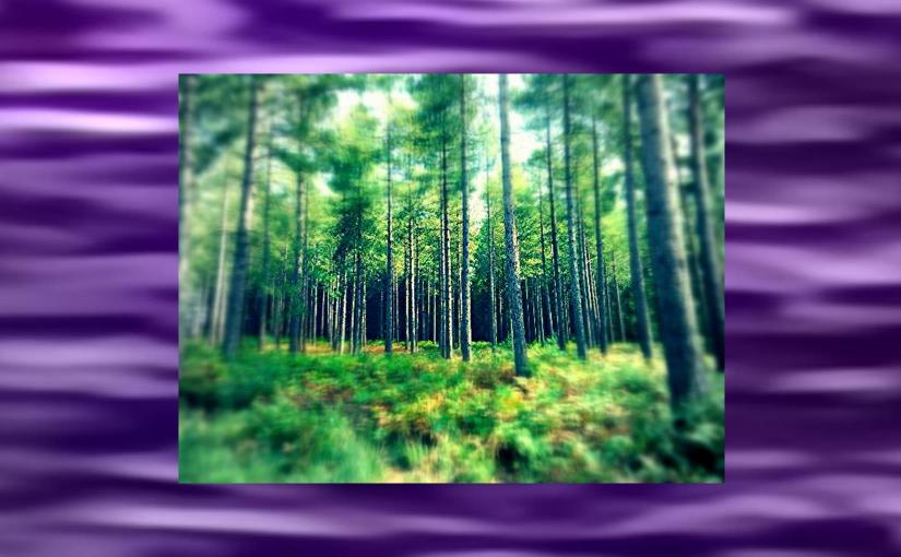 No Image No&nbsp;Imagination